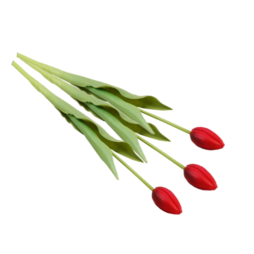 Untitled design.png