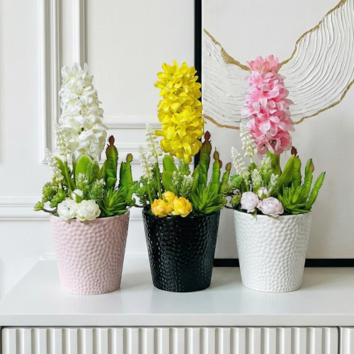 Kompozycja z hiacyntem w doniczce 