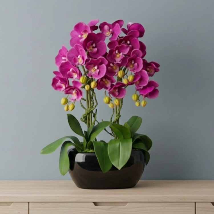 IMG_0428 (1).PNG