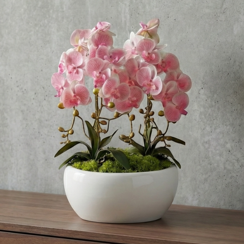 IMG_0625 (1).PNG