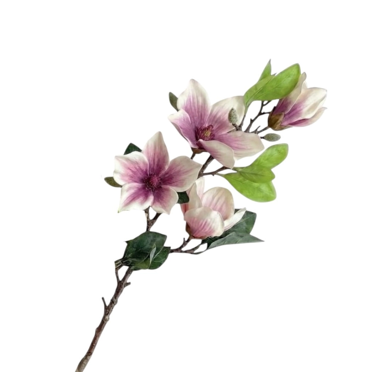 IMG_0929 (1).png