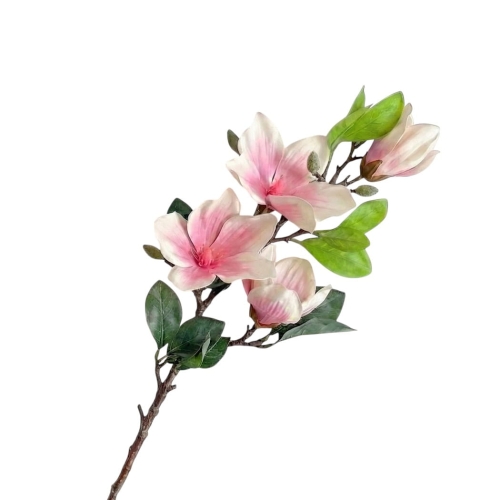IMG_0947.png