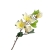 IMG_0935 (1).png
