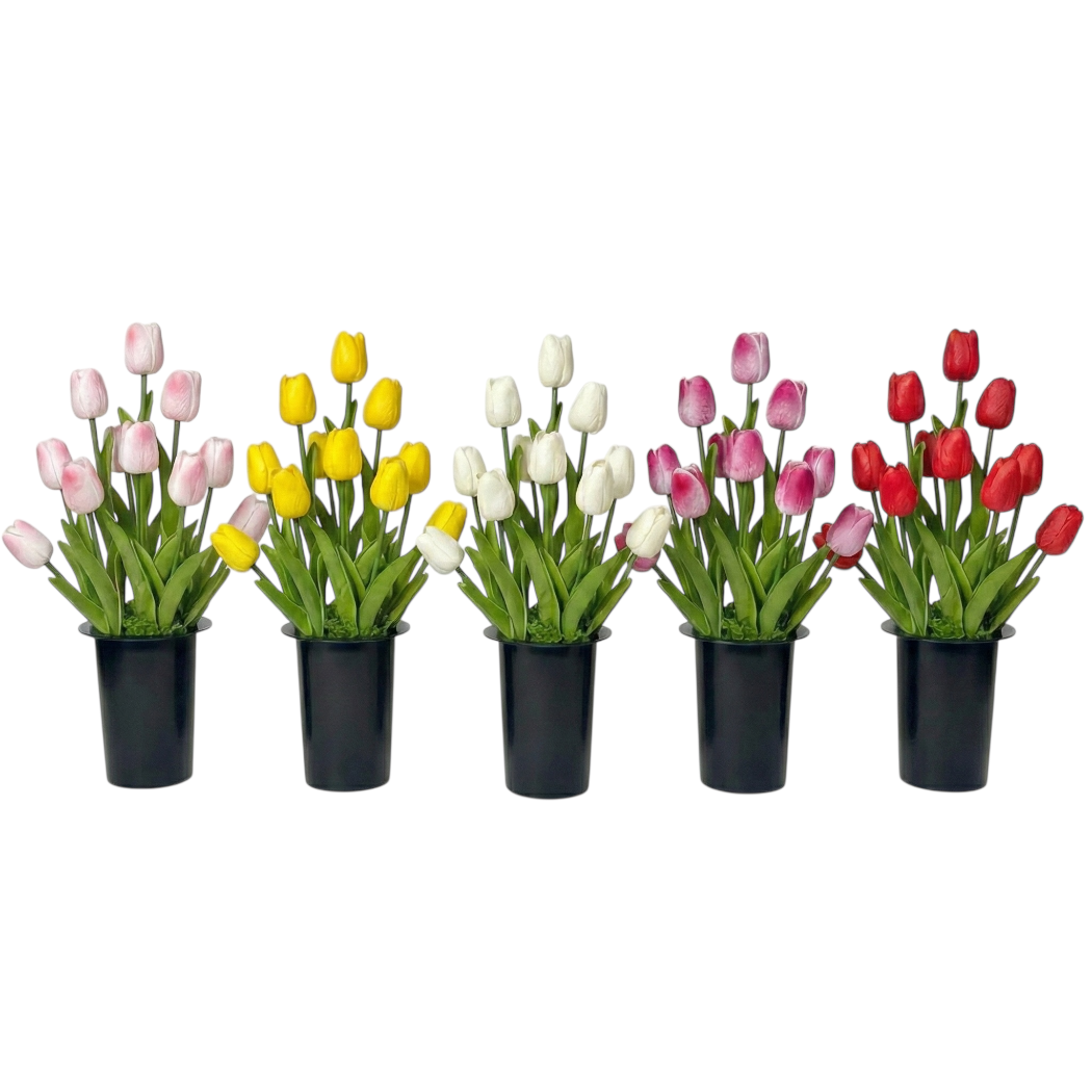 IMG_1781 (2).PNG