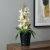 Sztuczny storczyk