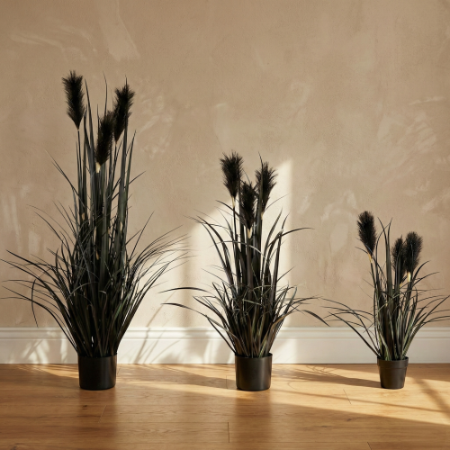 Sztuczna trawa  pampasowa czarna 