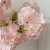 IMG_4620 (1).PNG