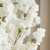IMG_4712.PNG