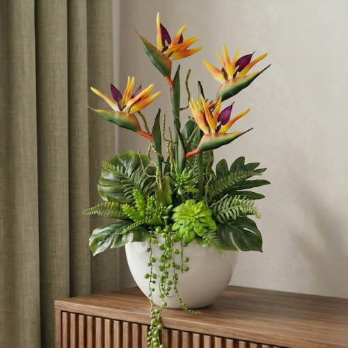 Strelicja królewska w donicy