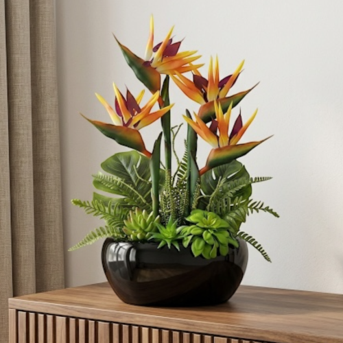 Strelicja królewska w donicy