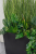 IMG_5230.PNG