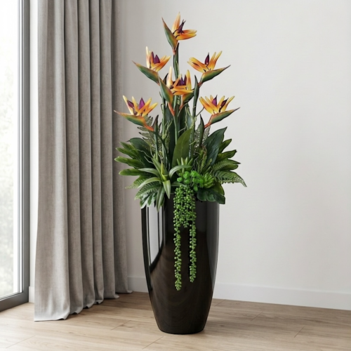 Strelicja królewska w donicy