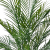 IMG_6057 (1).PNG