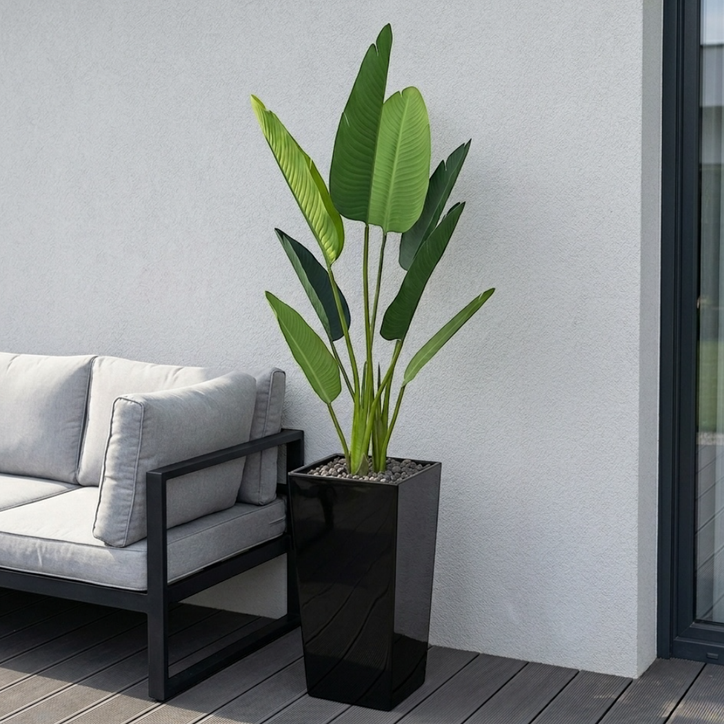 sztuczny bananowiec w donic