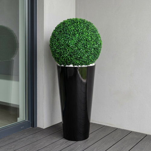 Kula bukszpan w donicy  