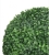 IMG_6332.jpeg