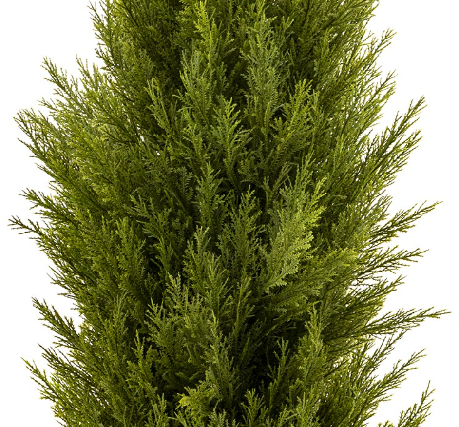 Zrzut ekranu (140).png