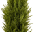 Zrzut ekranu (140).png