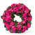 IMG_7035 (1).PNG