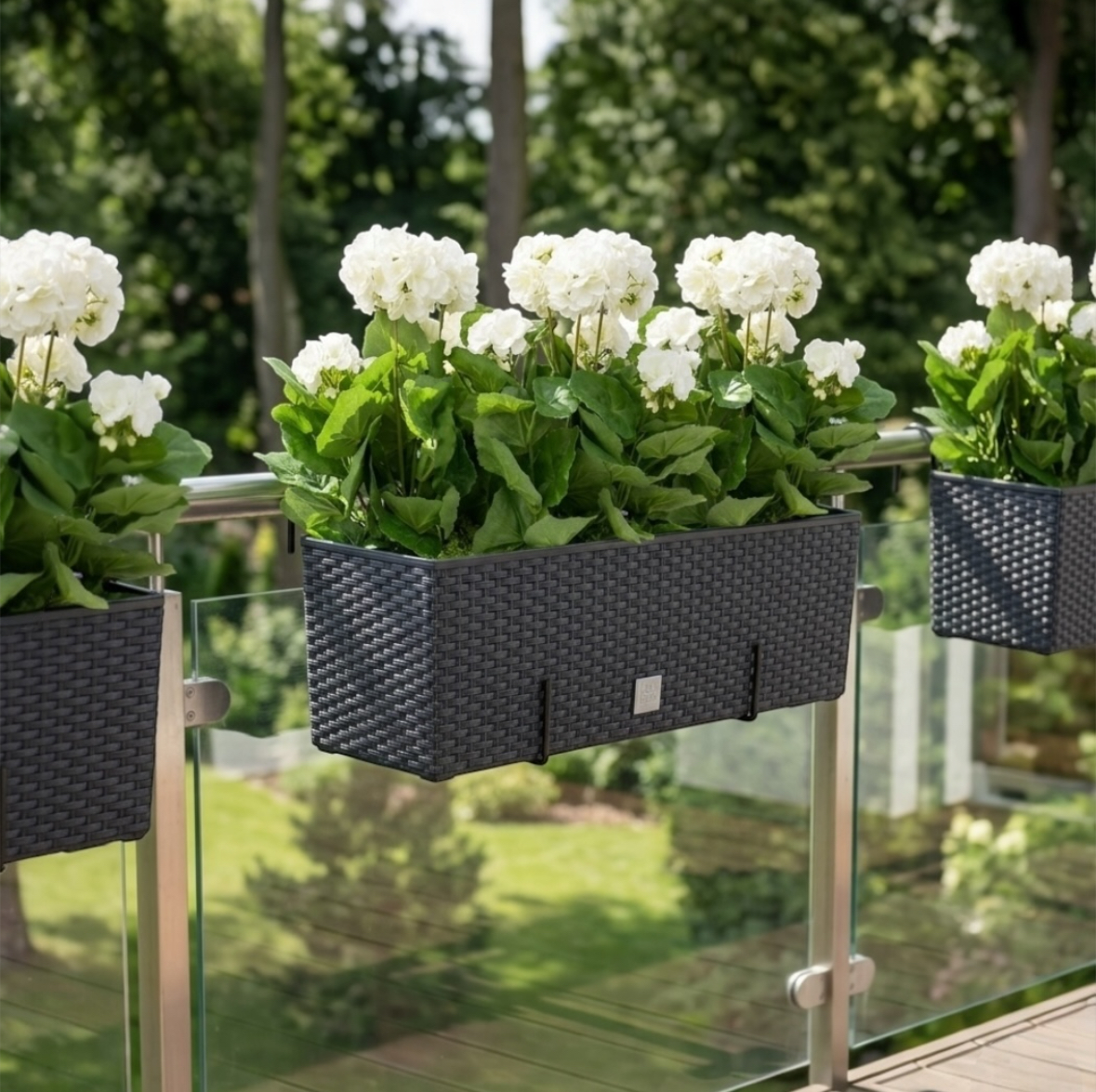 Pelargonia w doniczce , doniczka balkonowa wisząca na balustrade