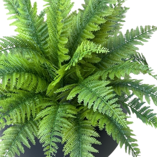 Photoroom_20260412_202914.JPG