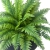 Photoroom_20260412_202914.JPG