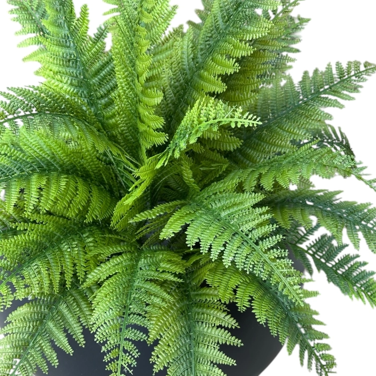 Photoroom_20260412_202914.JPG