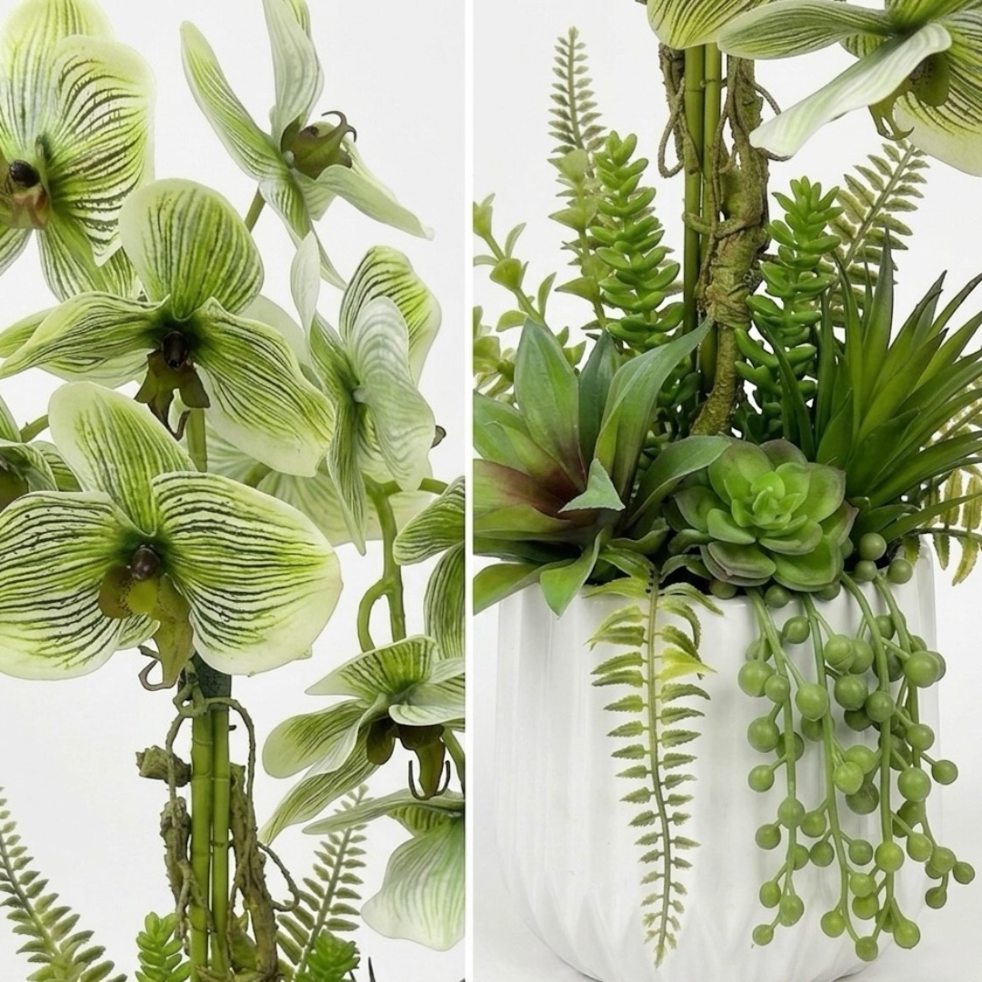 Photoroom_20260414_203320 (1).JPG