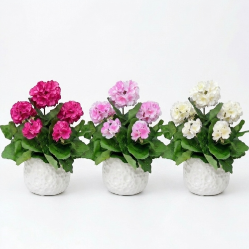 Photoroom_20260415_104055.PNG