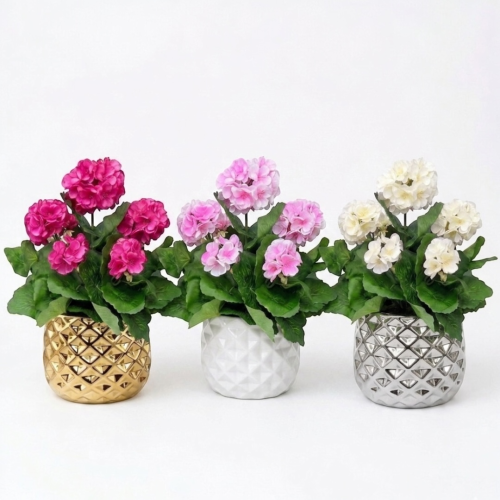 Photoroom_20260415_104031.PNG