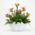 Photoroom_20260421_090222.PNG