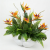 Photoroom_20260421_090301.PNG