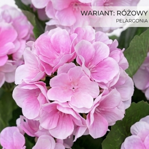 Photoroom_20260415_100859 (7).PNG