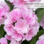 Photoroom_20260415_100859 (7).PNG