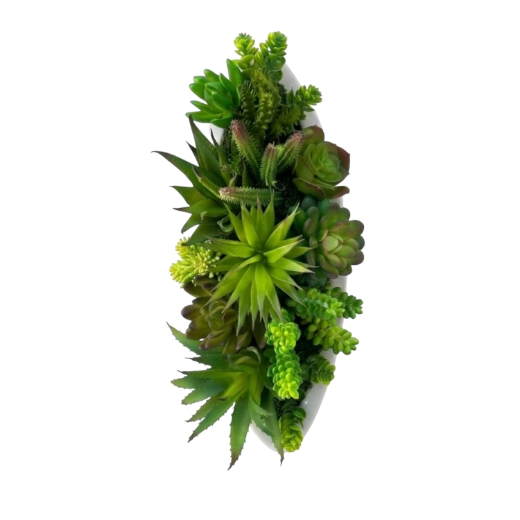 Photoroom_20260512_133929.PNG