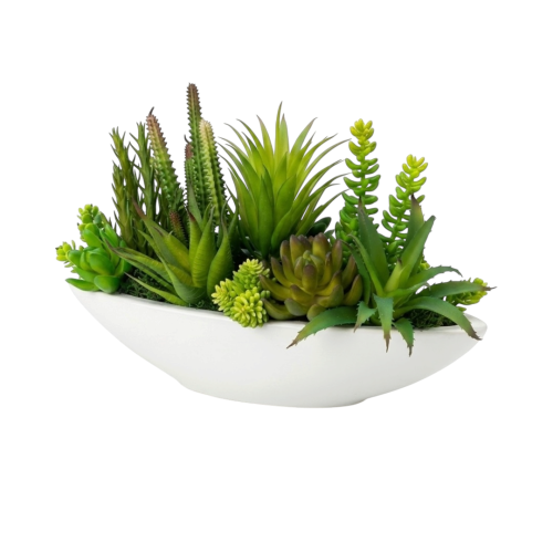 Photoroom_20260512_133947.PNG