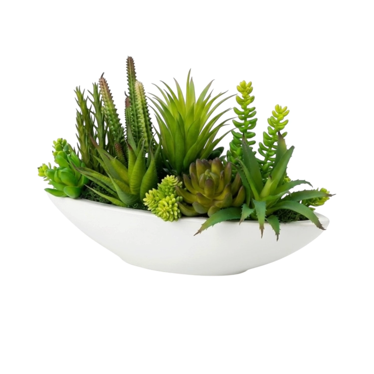 Photoroom_20260512_133947.PNG