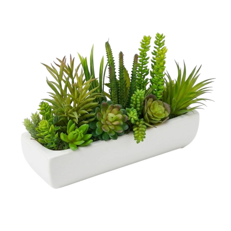 Photoroom_20260512_134030.PNG