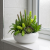 Photoroom_20260507_203001.PNG