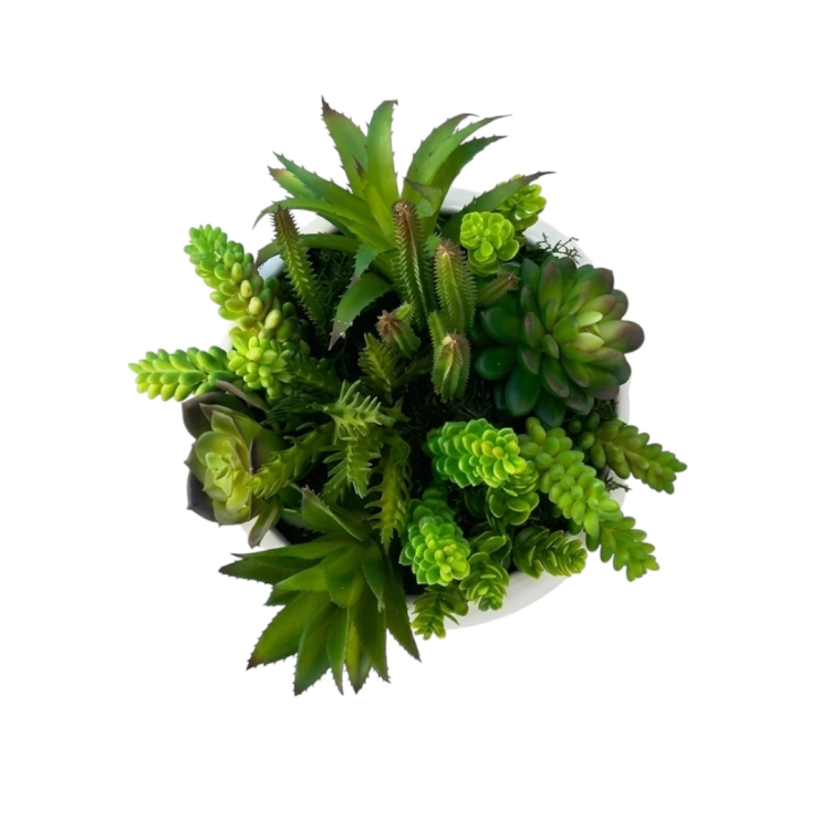 Photoroom_20260512_133916.PNG