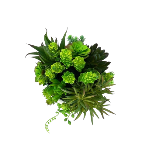 Photoroom_20260512_140721.PNG
