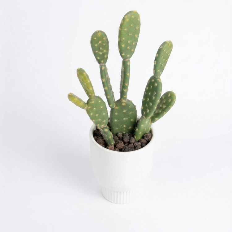 Photoroom_20260513_085310.PNG