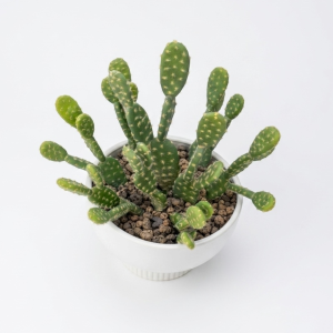 Photoroom_20260513_084817.PNG