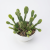 Photoroom_20260513_084817.PNG