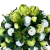 Photoroom_20260629_101320 (1).PNG