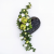 Photoroom_20260701_104601.png