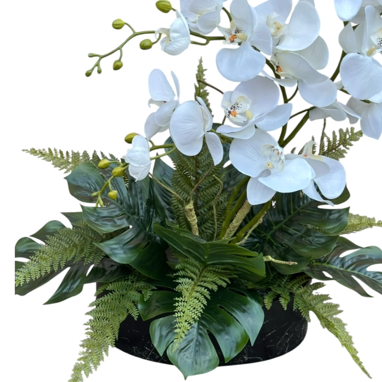 Photoroom_20260701_221717.png