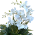 Photoroom_20260701_221751.png