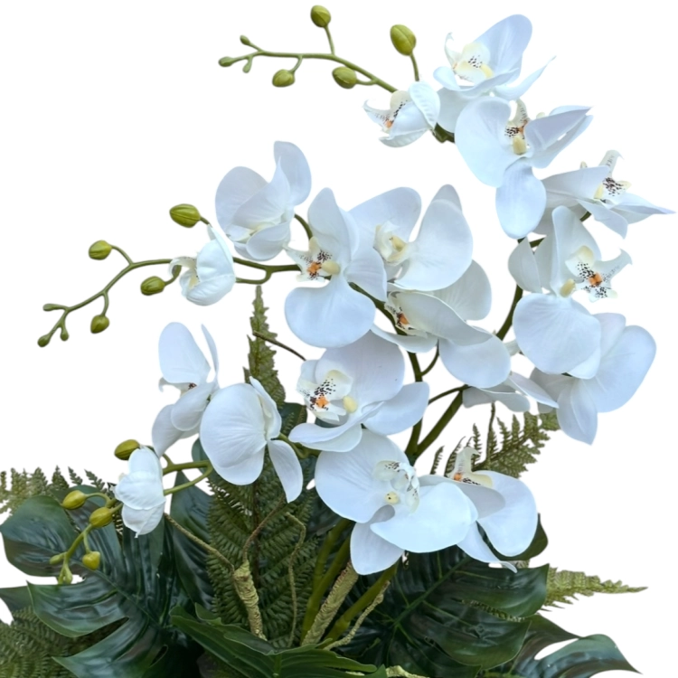 Photoroom_20260701_221751.png