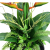 Photoroom_20260701_223524.png